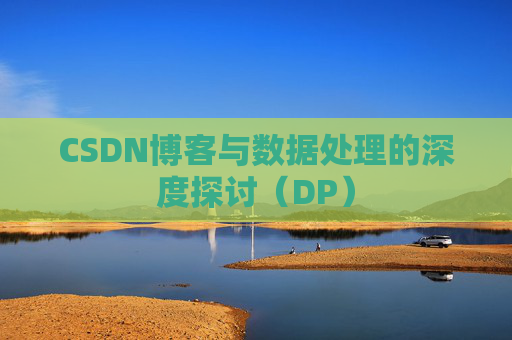 CSDN博客与数据处理的深度探讨（DP）